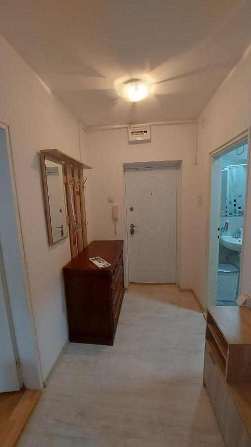 Apartman Milica Vrsac Extérieur photo
