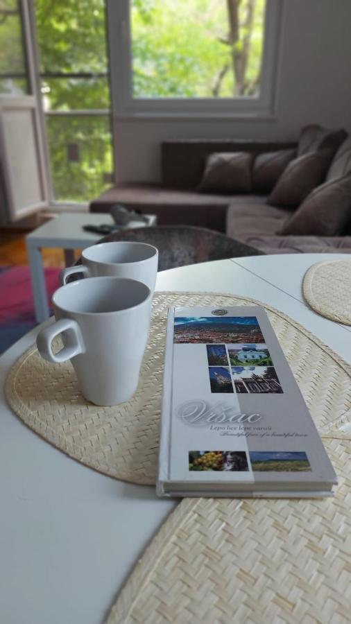 Apartman Milica Vrsac Extérieur photo