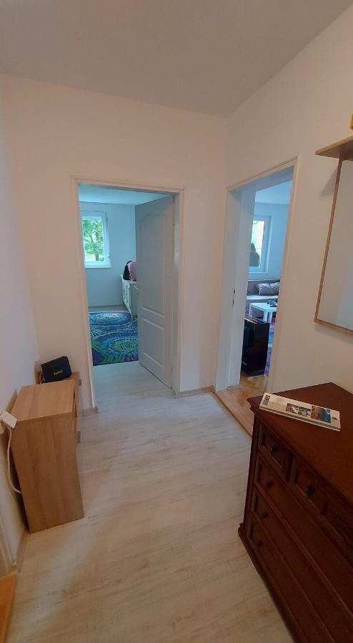 Apartman Milica Vrsac Extérieur photo
