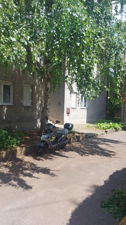 Apartman Milica Vrsac Extérieur photo