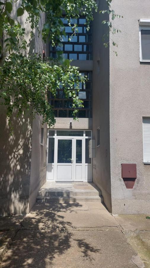 Apartman Milica Vrsac Extérieur photo