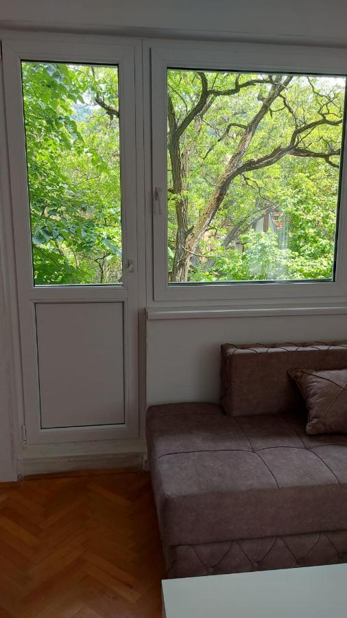 Apartman Milica Vrsac Extérieur photo